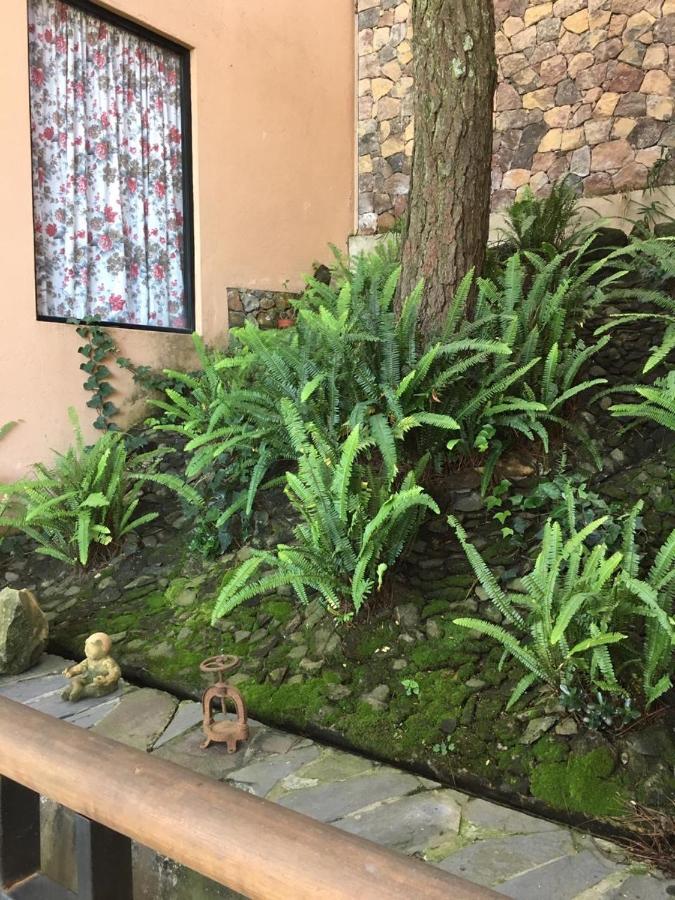 Mi Casa De Valle Valle de Bravo Zewnętrze zdjęcie