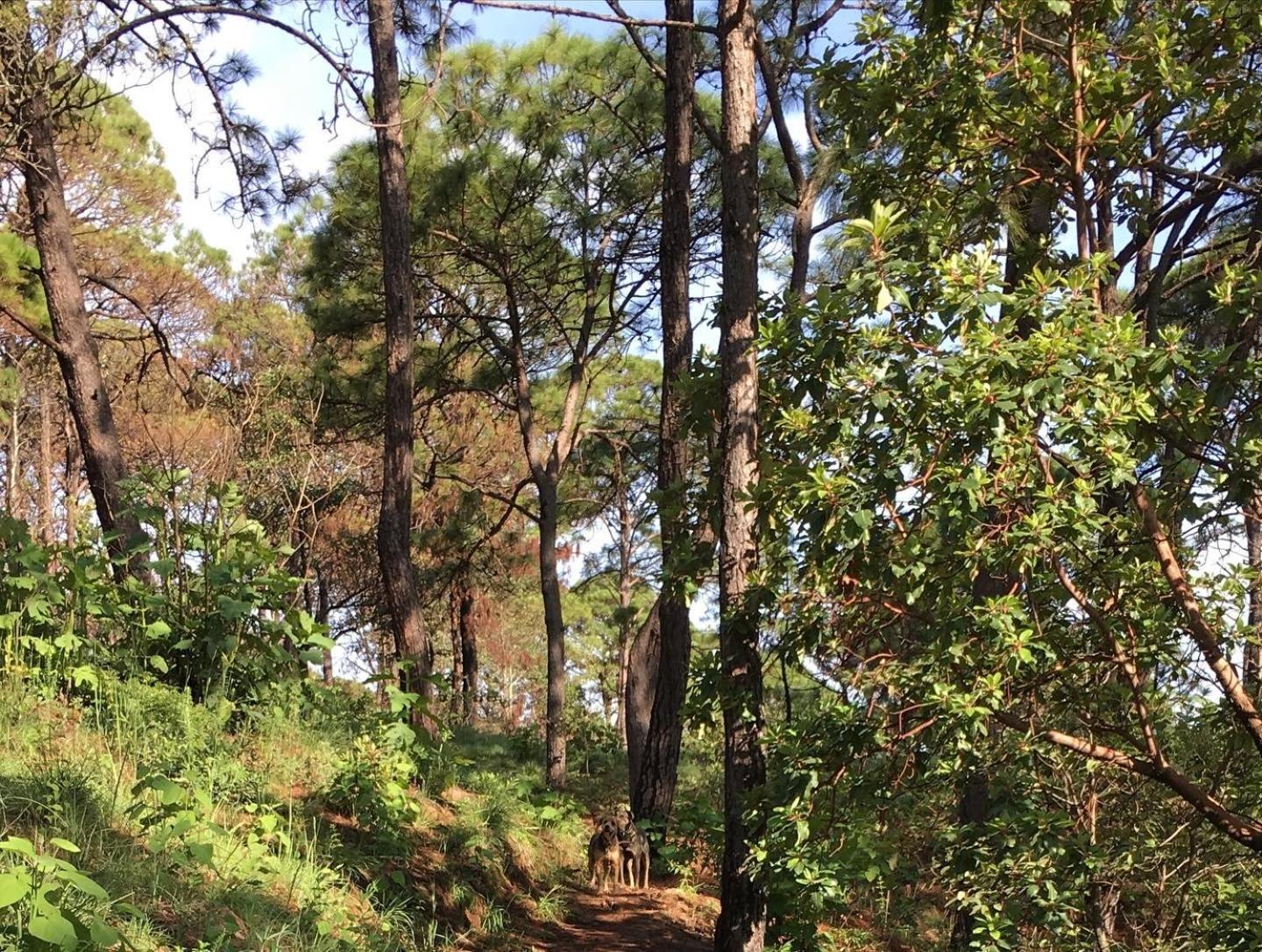 Mi Casa De Valle Valle de Bravo Zewnętrze zdjęcie